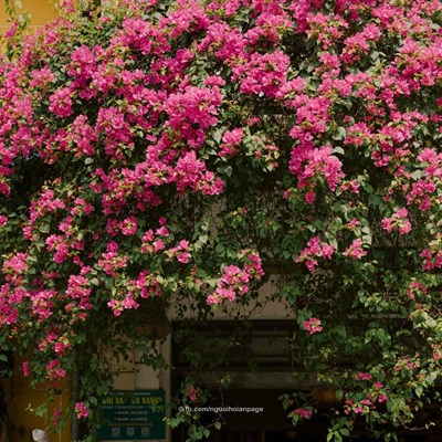 Du lịch Bắc Kạn