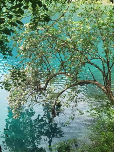 Du lịch Phú Quốc