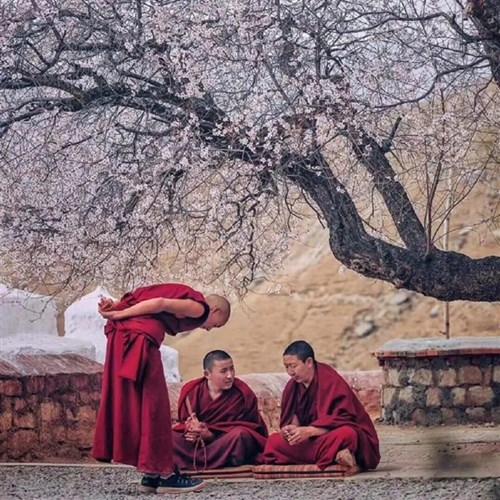 Lorem ipsum dolor sit amet, consectetur adipiscing elit. 